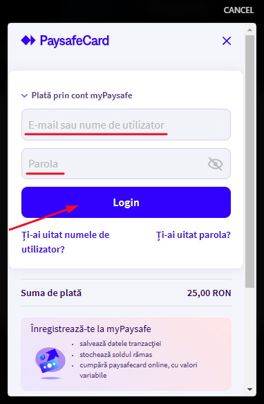 Conecteaza-te la Paysafe.png